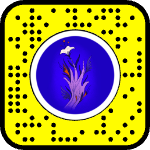 AR effect icon