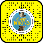 AR effect icon